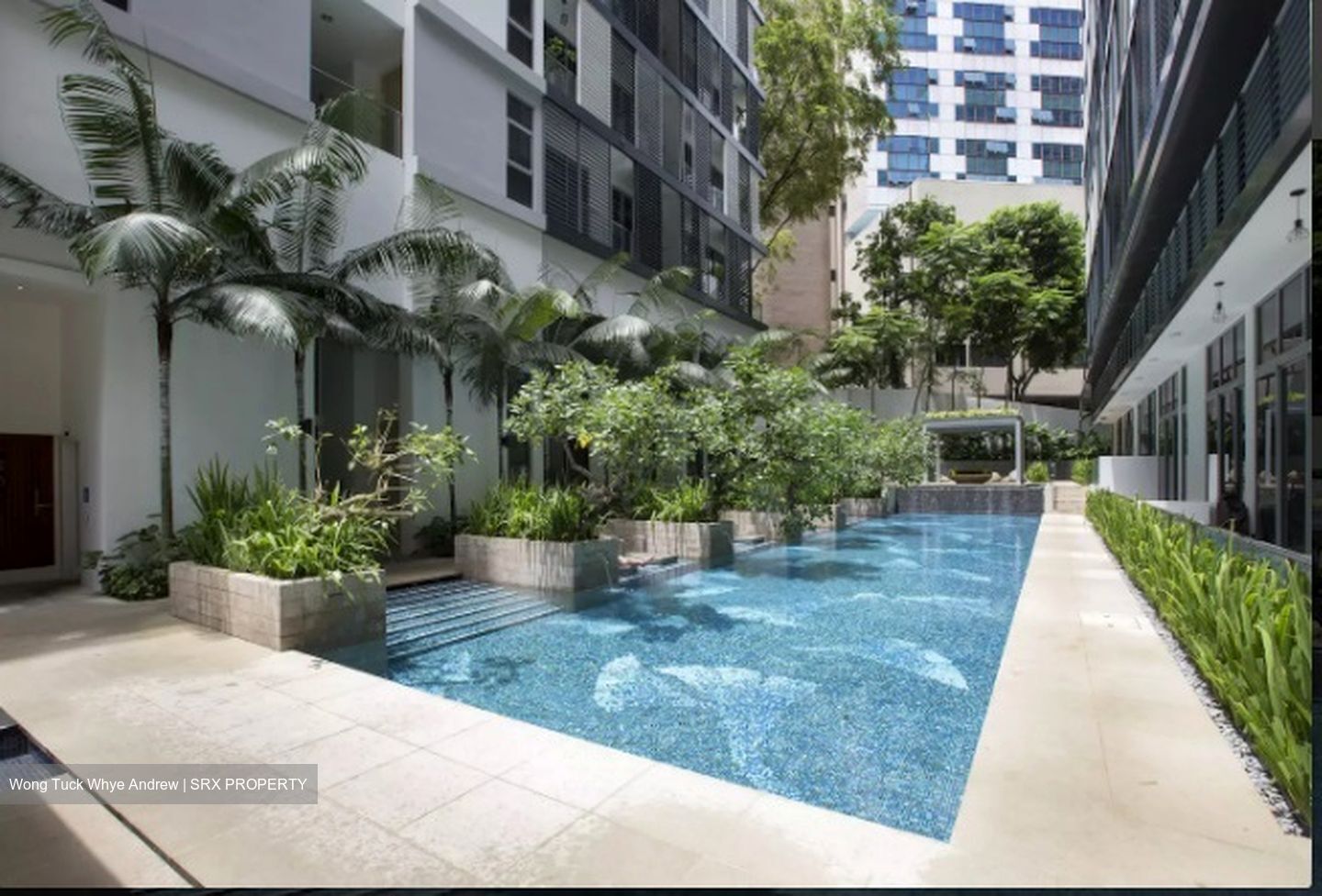 The Boutiq (D9), Apartment #444407351